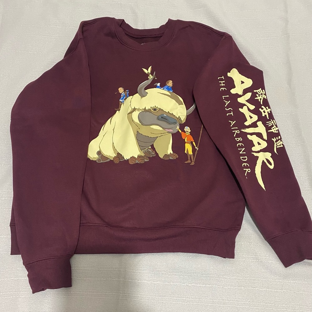 Avatar the last Airbender maroon, cartoon sweatshirt size M